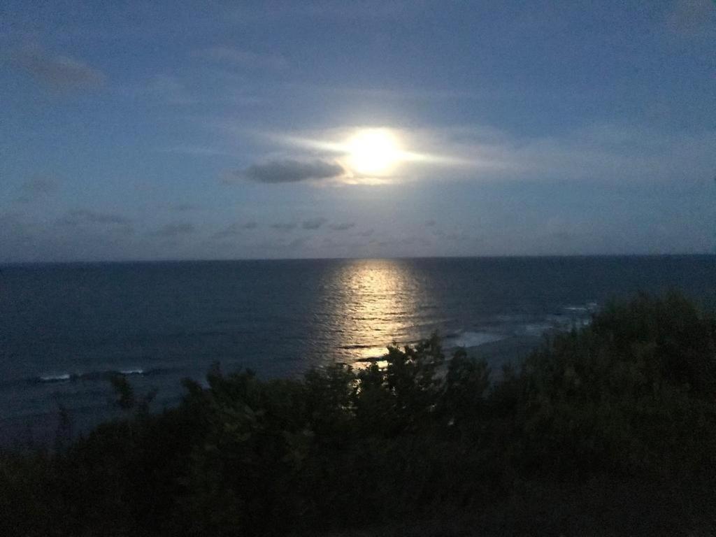 Pipatoa Bungalows Praia de Pipa Екстер'єр фото